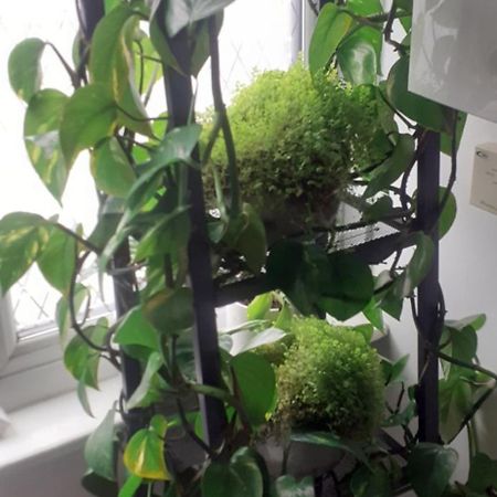 אדינבורו Beautiful King Room In Leith Walk מראה חיצוני תמונה